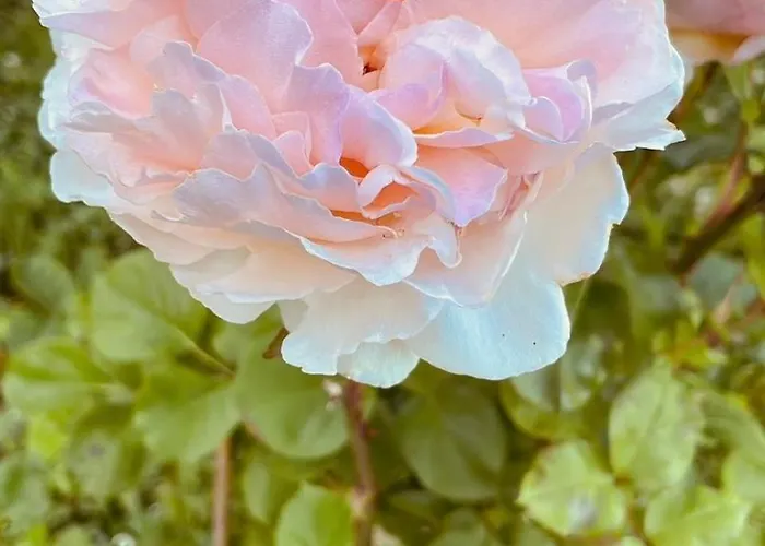 Anstois Appartement *